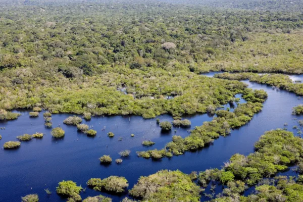 Desmatamento no Brasil caiu 32,4% em 2024
